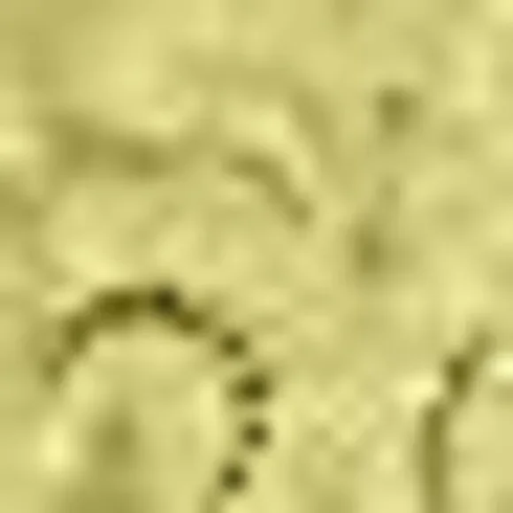 LOGO by Lori Goldstein Women's Top Plus Sz 2X Eyelet Lace Tie Green A640419 - Picture 3 of 7